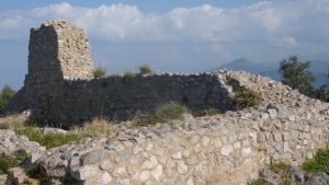 P1050365